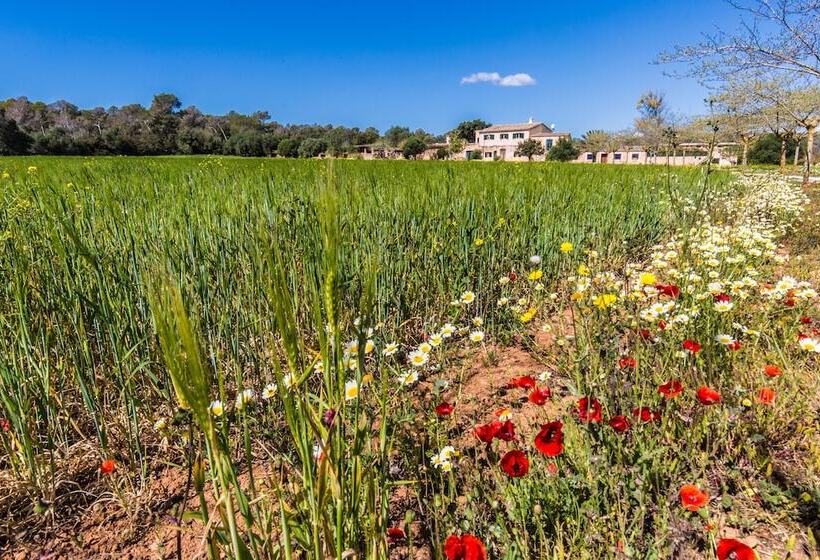 هتل روستایی Finca Agroturismo Sa Cova Den Borino