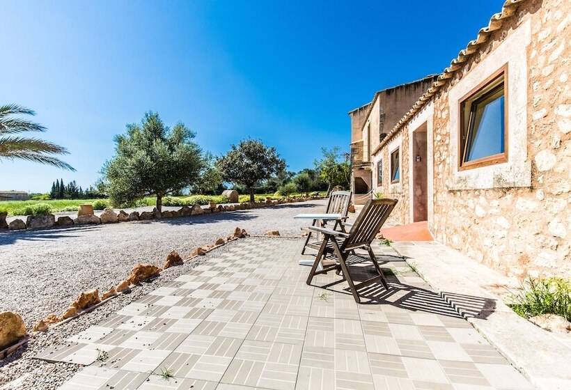 هتل روستایی Finca Agroturismo Sa Cova Den Borino