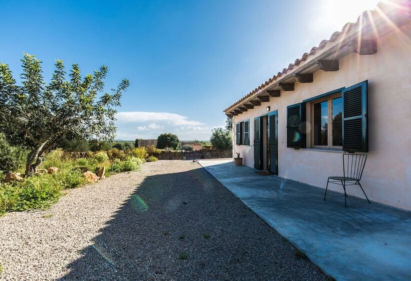 هتل روستایی Finca Agroturismo Sa Cova Den Borino