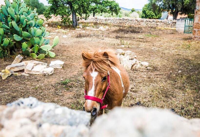 هتل روستایی Finca Agroturismo Sa Cova Den Borino