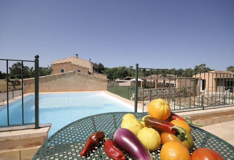 هتل روستایی Finca Agroturismo Sa Cova Den Borino