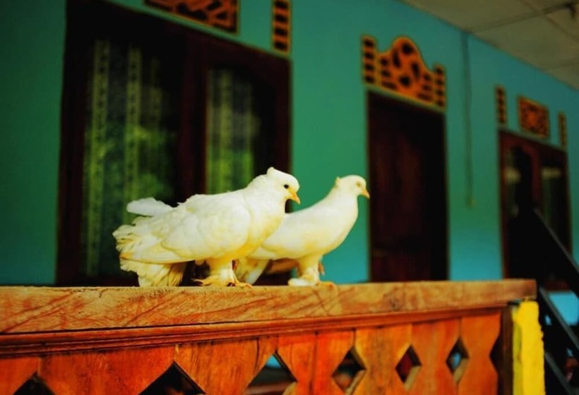 پانسیون Bugis Inn