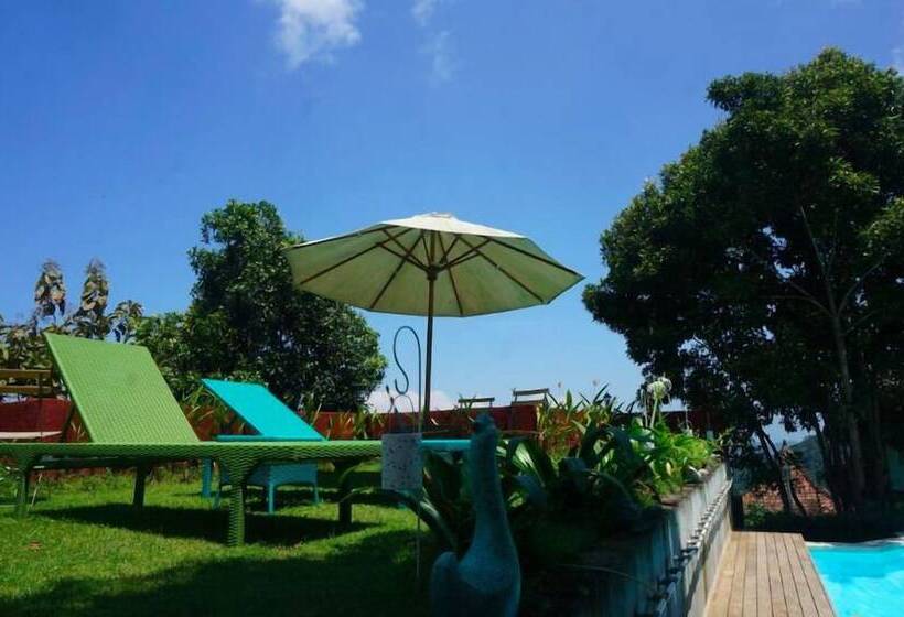 بنسيون Manggis Garden Dive Resort