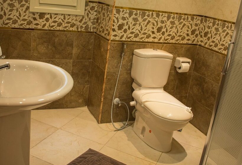 Fotos del hotel Horizon Nile Plaza:  12