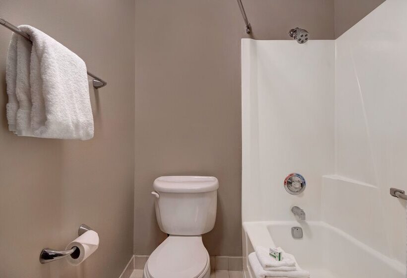 Baymont By Wyndham Detroit Airport/romulus