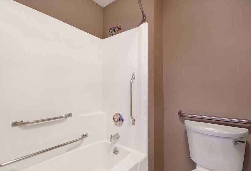 Baymont By Wyndham Detroit Airport/romulus