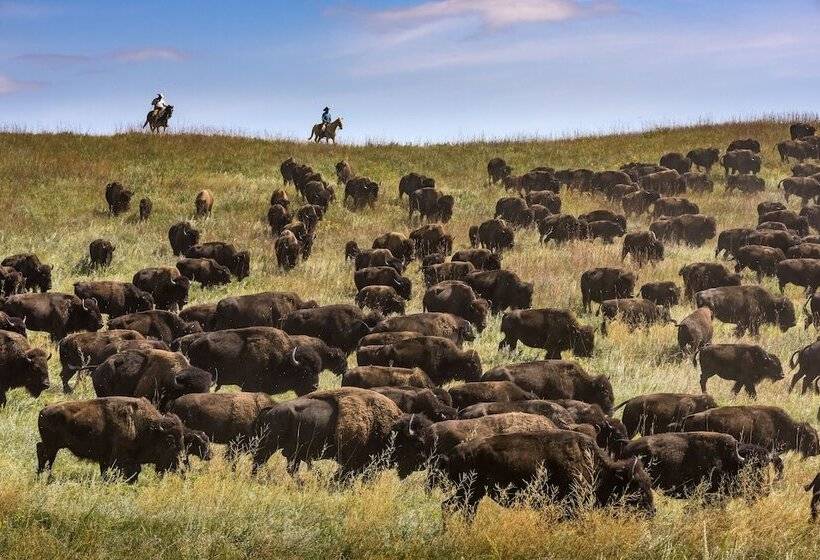 هتل Best Western Buffalo Ridge Inn Near Mt Rushmore