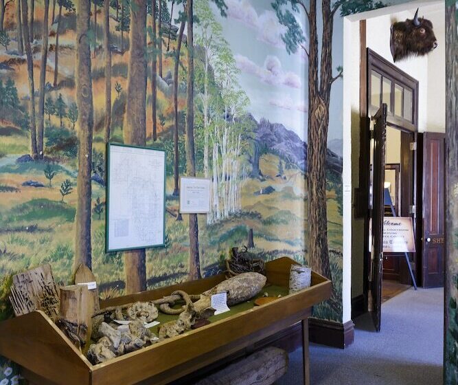 هتل Best Western Buffalo Ridge Inn Near Mt Rushmore