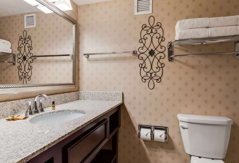 هتل Best Western Plus Abbey Inn