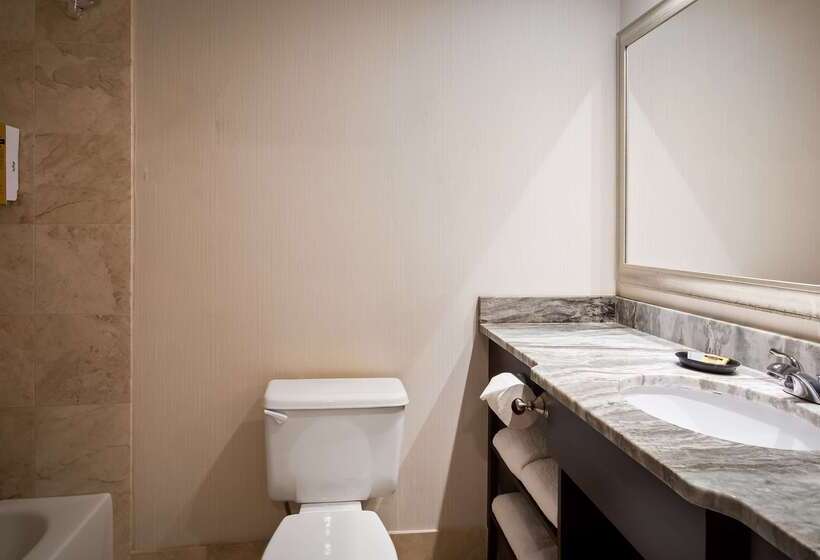 فندق Best Western Plus Ambassador Suites