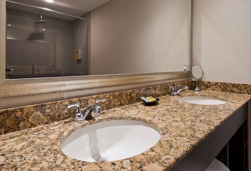 فندق Best Western Plus Ambassador Suites