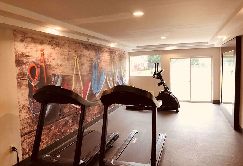 בית מלון כפרי Best Western Plus Chelmsford Inn