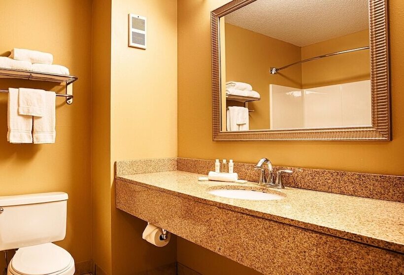 ホテル Best Western Plus Executive Inn