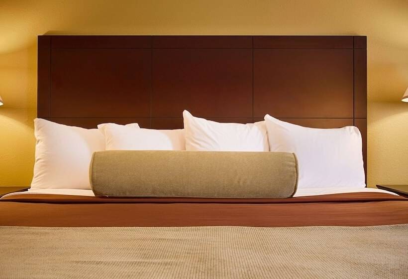 ホテル Best Western Plus Executive Inn