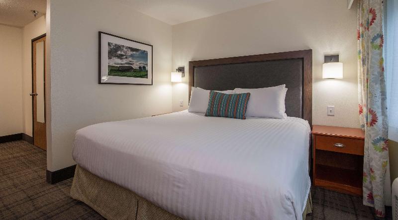 酒店 Best Western Plus University Park Inn & Suites