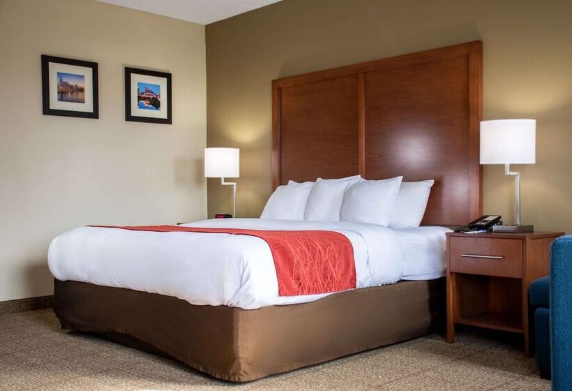 酒店 Comfort Inn