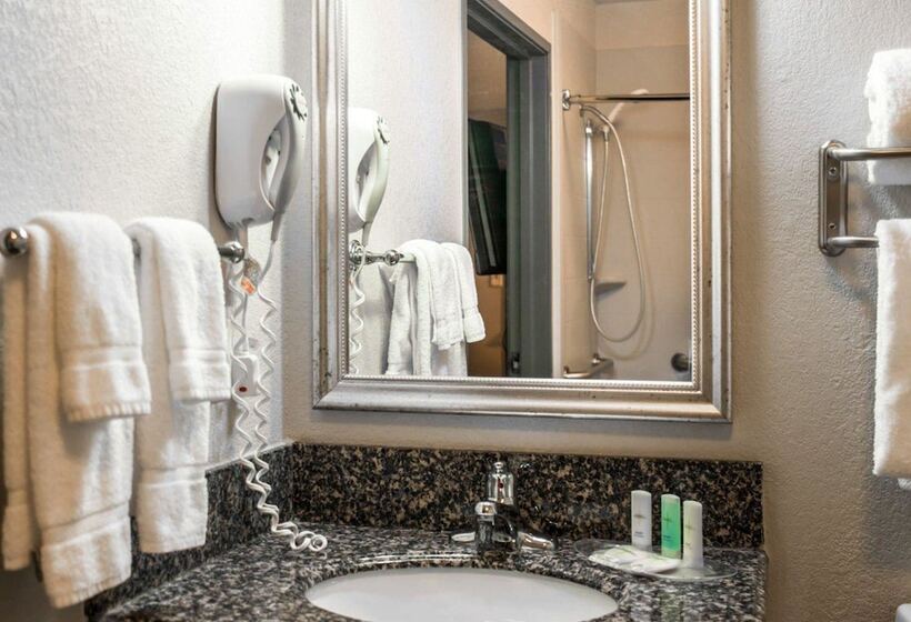 酒店 Comfort Suites Nashville Airport Bna