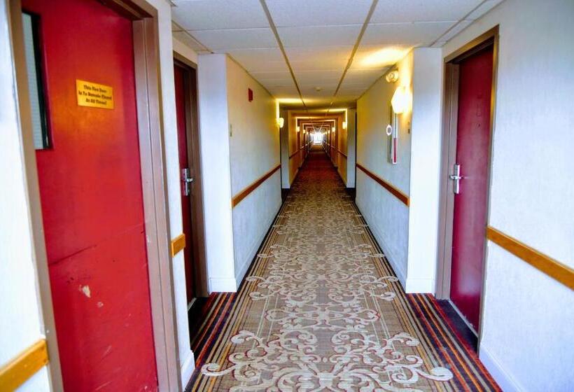 בית מלון כפרי Douglas Inn And Conference Center
