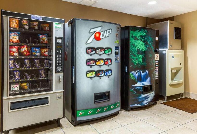 酒店 Econo Lodge Inn & Suites