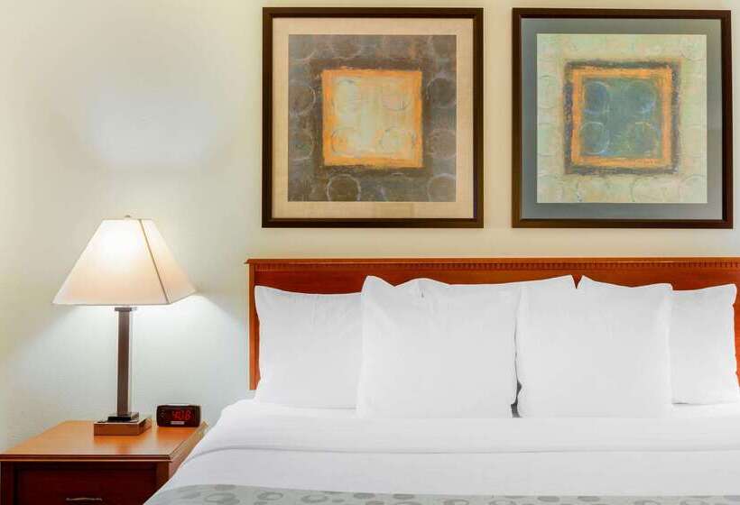 酒店 La Quinta Inn By Wyndham Chicago Willowbrook