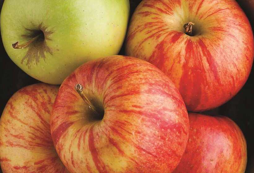 בית מלון כפרי La Quinta Inn By Wyndham Toledo Perrysburg