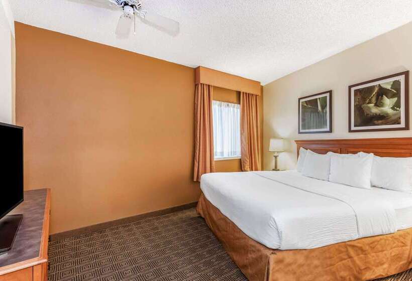 Fotos del hotel La Quinta By Wyndham Orlando South:  10