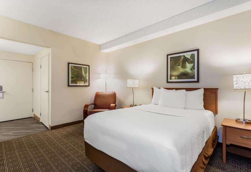 Fotos del hotel La Quinta By Wyndham Orlando South:  6