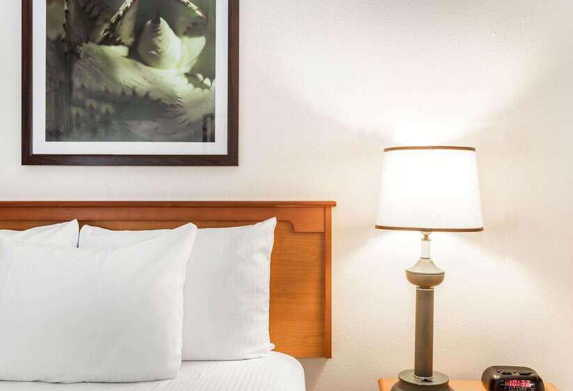 Fotos del hotel La Quinta By Wyndham Orlando South:  17