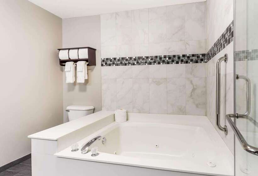 هتل La Quinta By Wyndham Rockford