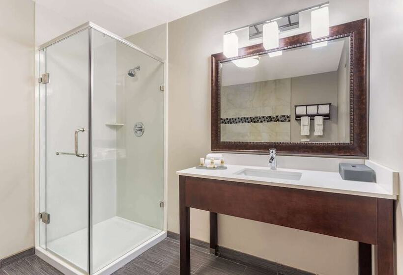 هتل La Quinta By Wyndham Rockford