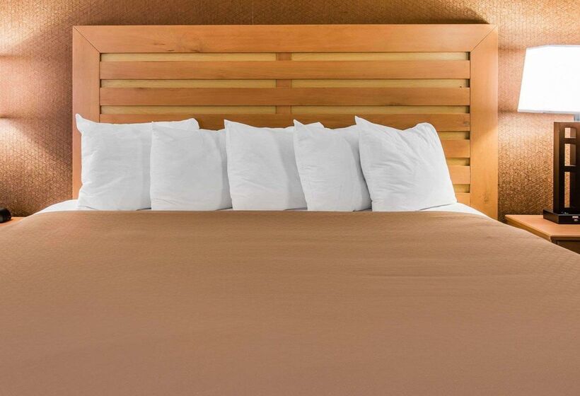 هتل Quality Inn & Suites Warren   Detroit