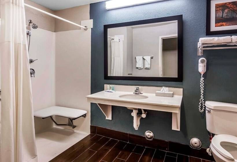 酒店 Quality Inn & Suites Exmore