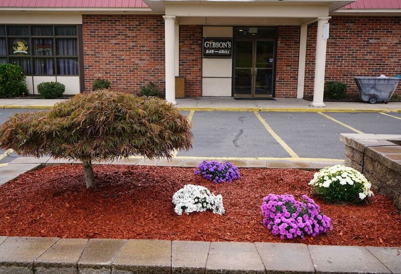 فندق Rodeway Inn & Suites