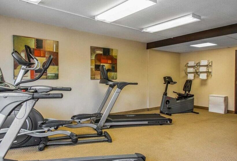 فندق Rodeway Inn & Suites