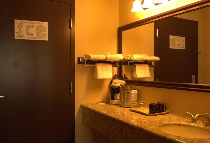 فندق Rodeway Inn & Suites