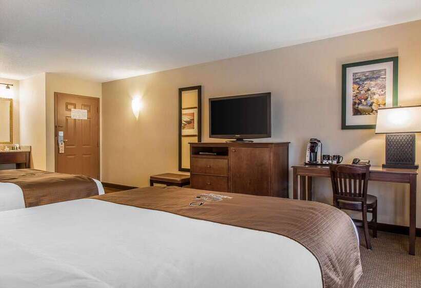 The Black Swan Lee   Lenox, Ascend Hotel Collection