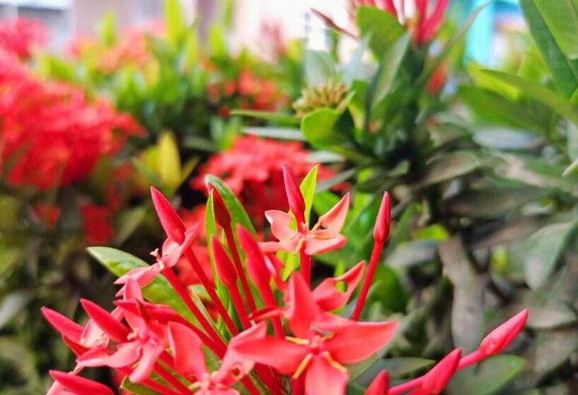 پانسیون Hostal Zurymar Capurganá