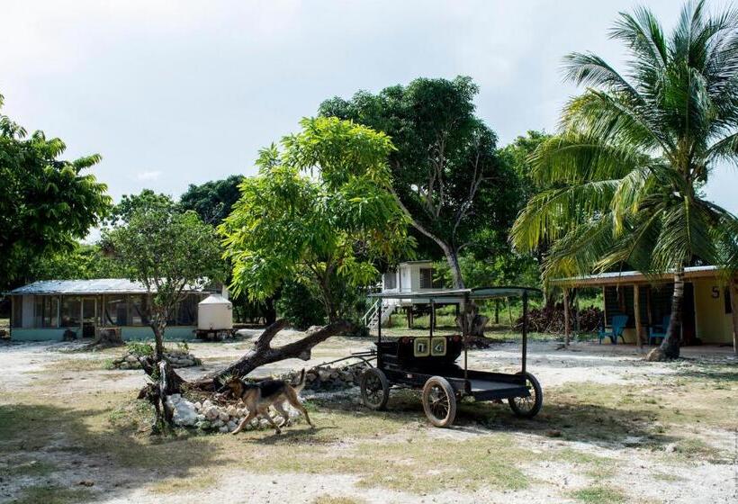 هاستل Horse Cottage