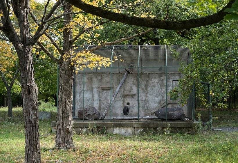 Общежитие The Old Catskill Game Farm Inn
