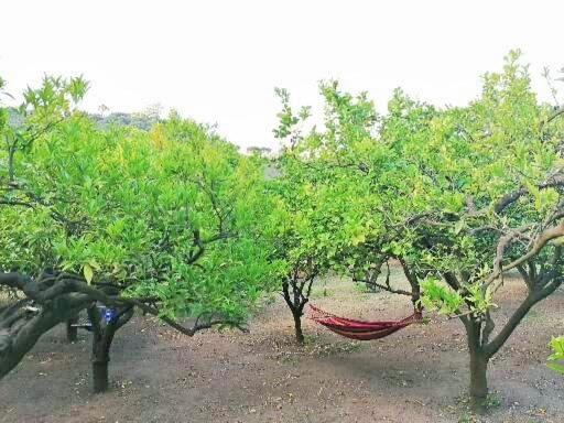 בית מלון כפרי Masseria Sardo