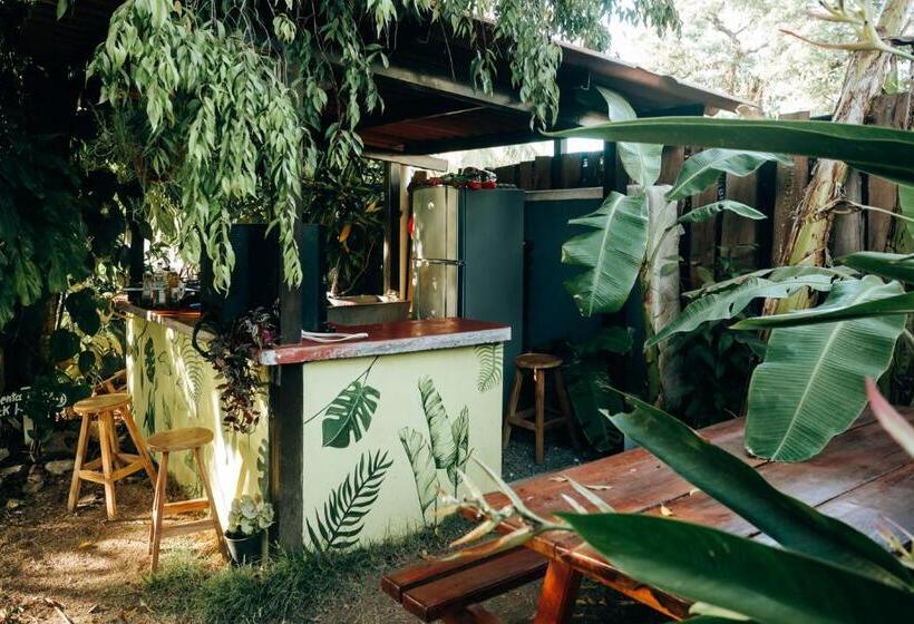 پانسیون Hostal & Café Travelers