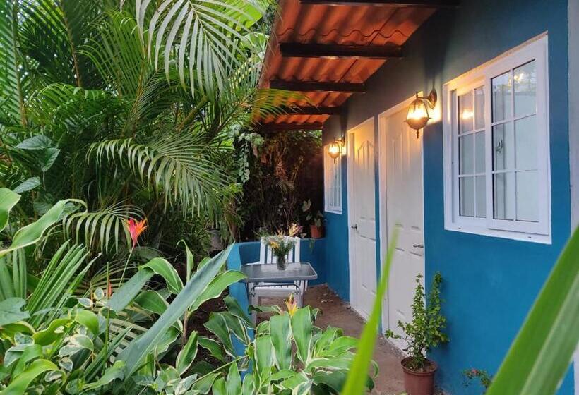 پانسیون Hostal & Café Travelers
