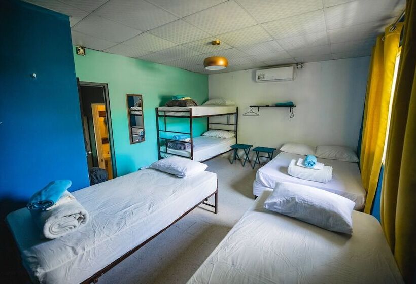 پانسیون Hostal & Café Travelers