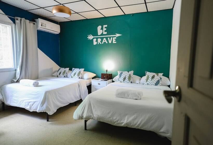 پانسیون Hostal & Café Travelers