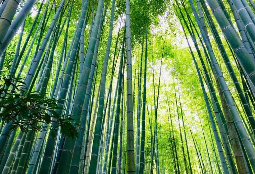 ریوکان Kamakura Cocon