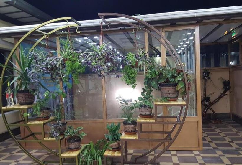 فندق فئة نجمة واحدة Rohat