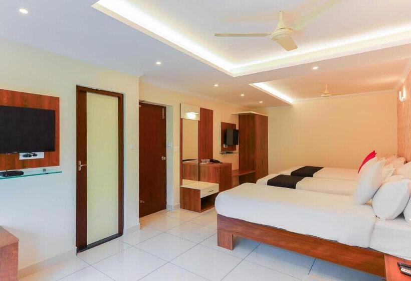 تختخواب و صبحانه Super Collection O Companion Leisure Homes