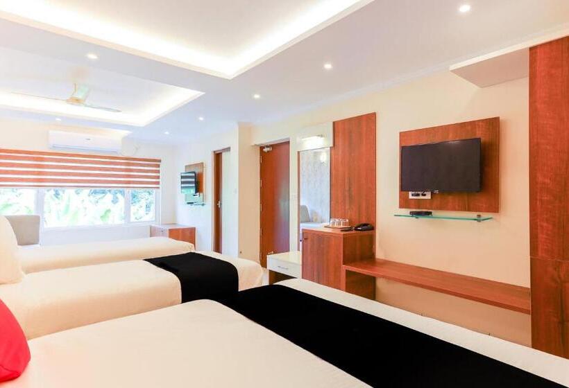 تختخواب و صبحانه Super Collection O Companion Leisure Homes