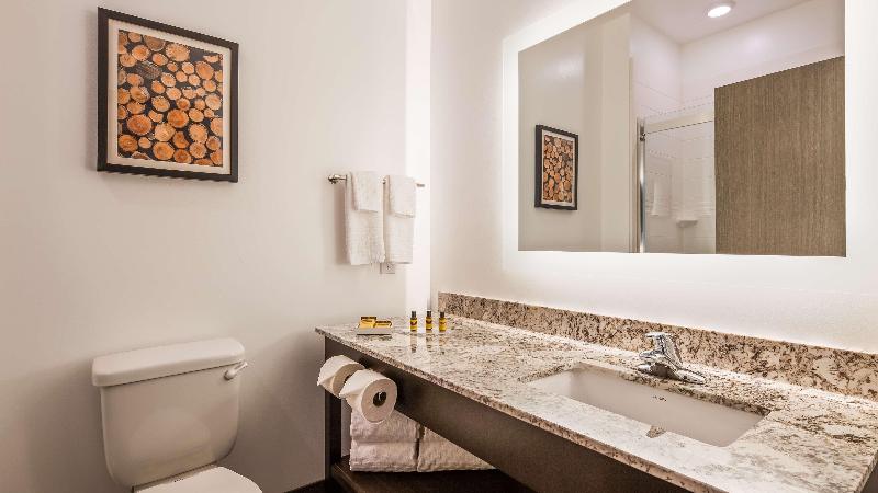 فندق Best Western Plus Isanti