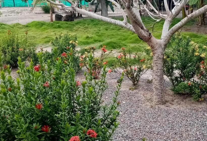 پانسیون Hostal La Finquita